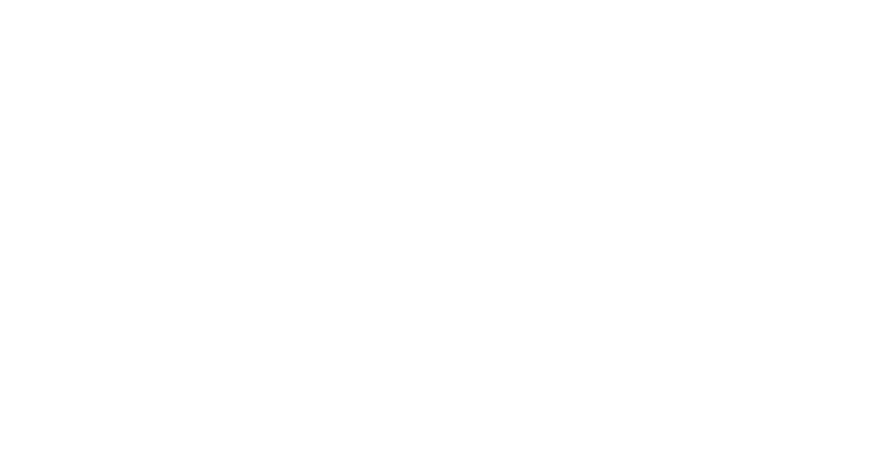 Spirit Fleet Wash